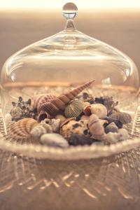 Family Friendly Home Close To Beach & Gilleleje