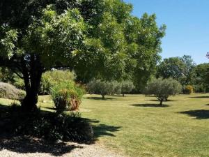 Maisons de vacances Villa in France with Vineyards and Nature Views, cleaning included : photos des chambres
