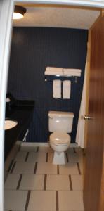 King Room with Adapted Tub - Mobility Accessible room in Fairfield Inn Boise Airport