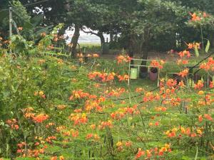 Miss Miriam BeachFront Cabins