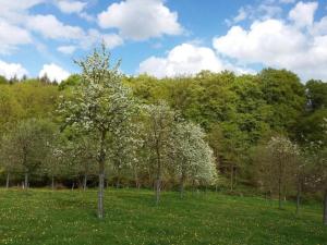 Maisons de vacances Champsecret : Maison Ancienne avec Poele, Jardin Clos et Animaux Acceptes - FR-1-497-15 : photos des chambres