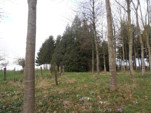 Maisons de vacances Maison de charme avec grand jardin, proche Haras du Pin, animaux acceptes, ideale pour familles - FR-1-497-5 : photos des chambres