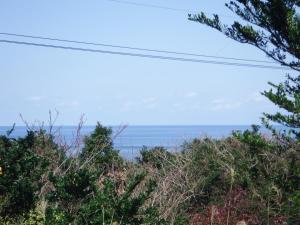 Green Cottage ＭＭ