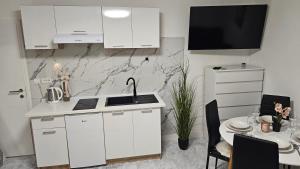 Apartment Studio Monvidal