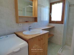 Charmant studio avec cabine - 4 pers - St Jean de Sixt - FR-1-458-223
