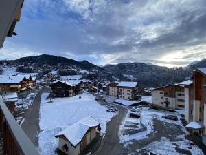 Appartements Charmant studio avec cabine - 4 pers - St Jean de Sixt - FR-1-458-223 : photos des chambres