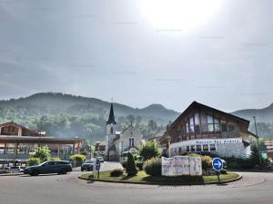 Appartements Charmant studio avec cabine - 4 pers - St Jean de Sixt - FR-1-458-223 : photos des chambres