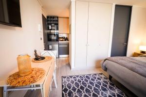 HOM I Studio moderno Santiago cerca MetroStaLucia