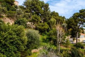 Appartements Best view of Cote Dazur : photos des chambres