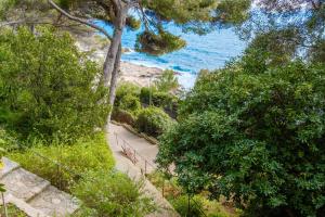 Appartements Best view of Cote Dazur : photos des chambres