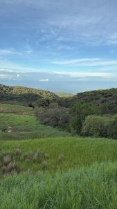 Sea song cabin with private waterfall and river