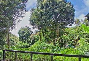 Casa Tà Xùa Homestay