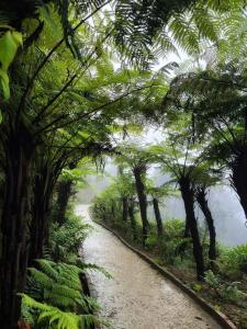 Casa Tà Xùa Homestay