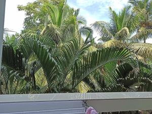 Vara CF2 Service Apartment near Varca Beach Goa