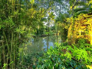 Baan Suan Rim Num Resort