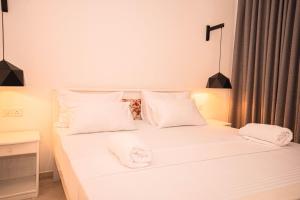 Moringa Breeze - Colombo