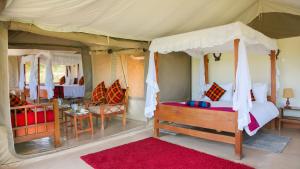 Giraff maasai mara home stay&safaris
