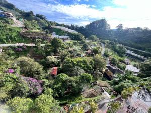The Retreat Mountain n Sunrise view Hilltop Hotel Apartment in Cameron Highlands