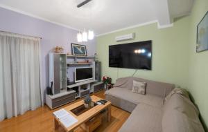 Awesome Home In Mirlovic Polje