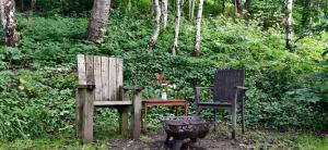 Peggys Cabin in the Woods