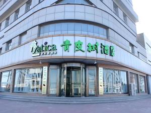 Vatica Tianjin Jinghai Bus Station Home World Plaza Hotel