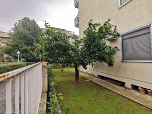 Carmens Home Caserta sud