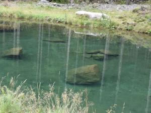 Holiday apartment Haus Frank