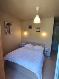 Maisons de vacances Gite le Buron : photos des chambres