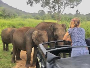 New Eagles Wings Resort