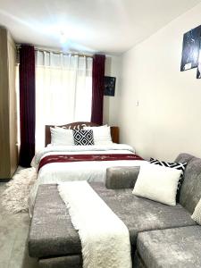 Cute Studio near JKIA airport