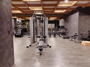Loft, gym, pool, internet zama