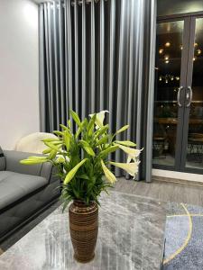 Vân An homestay- Qvungtau-3BR Oasky- Căn hộ view biển gần tháp Tam Thắng