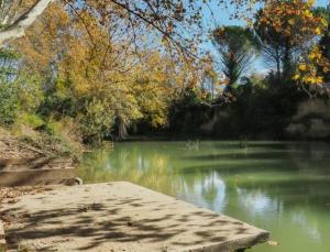 Appartements SAURET : Havre de paix en ville : spacieux et confortable : photos des chambres