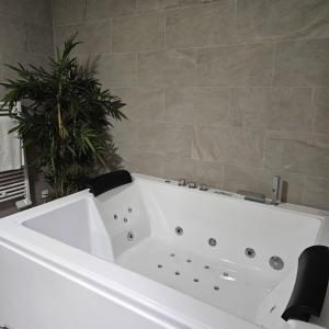 Hotels Domaine du Lac - Teritoria : Suite Supérieure 