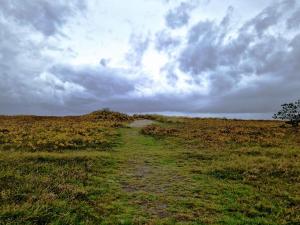 Skønt feriehus til 6 personer, Sjælland