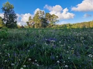 Skønt feriehus til 6 personer, Sjælland