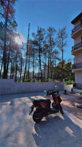 XTSY Travellers Hostel