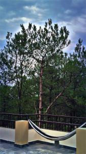 XTSY Travellers Hostel