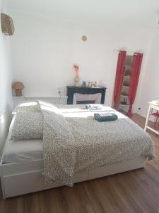 Studio cité de la gastronomie