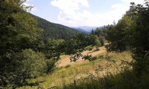 Hope Mountain Escape Poland, Charming Barrel House