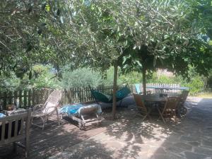 B&B / Chambres d'hotes To a Book House in Corsica - chambres d-hotes : photos des chambres