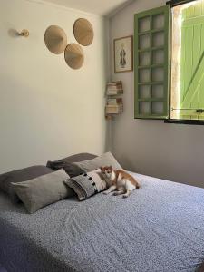B&B / Chambres d'hotes To a Book House in Corsica - chambres d-hotes : Chambre Double