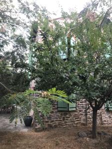 To a Book House in Corsica - chambres dhôtes