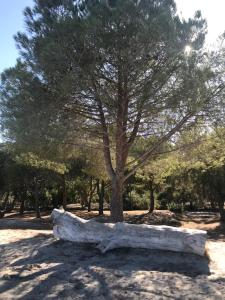 B&B / Chambres d'hotes To a Book House in Corsica - chambres d-hotes : photos des chambres