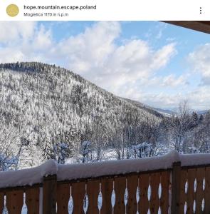 Hope Mountain Escape Poland, Awesome Glamping Tent