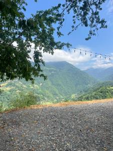 Panoramic Wood Cabin