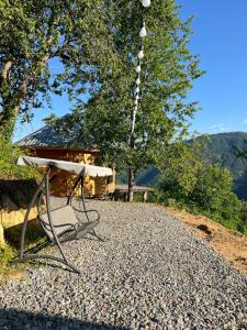 Panoramic Wood Cabin