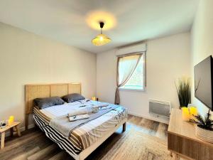 Appartements Le Boheme-Parking-clim : photos des chambres