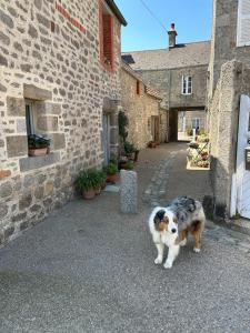 Maisons de vacances Le Nid Marin - Charmante maison sur le Port : photos des chambres