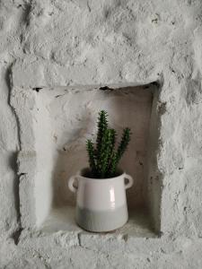 Appartements Gites Torreillans - Chambre Azur : photos des chambres